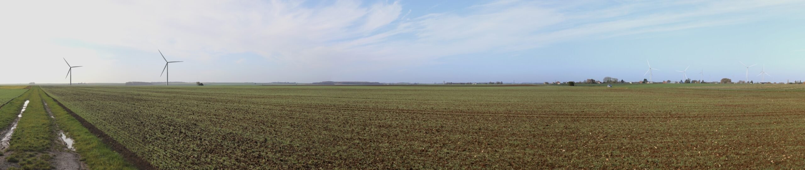 PM13_projet